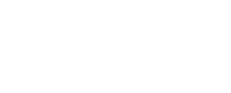Level Access