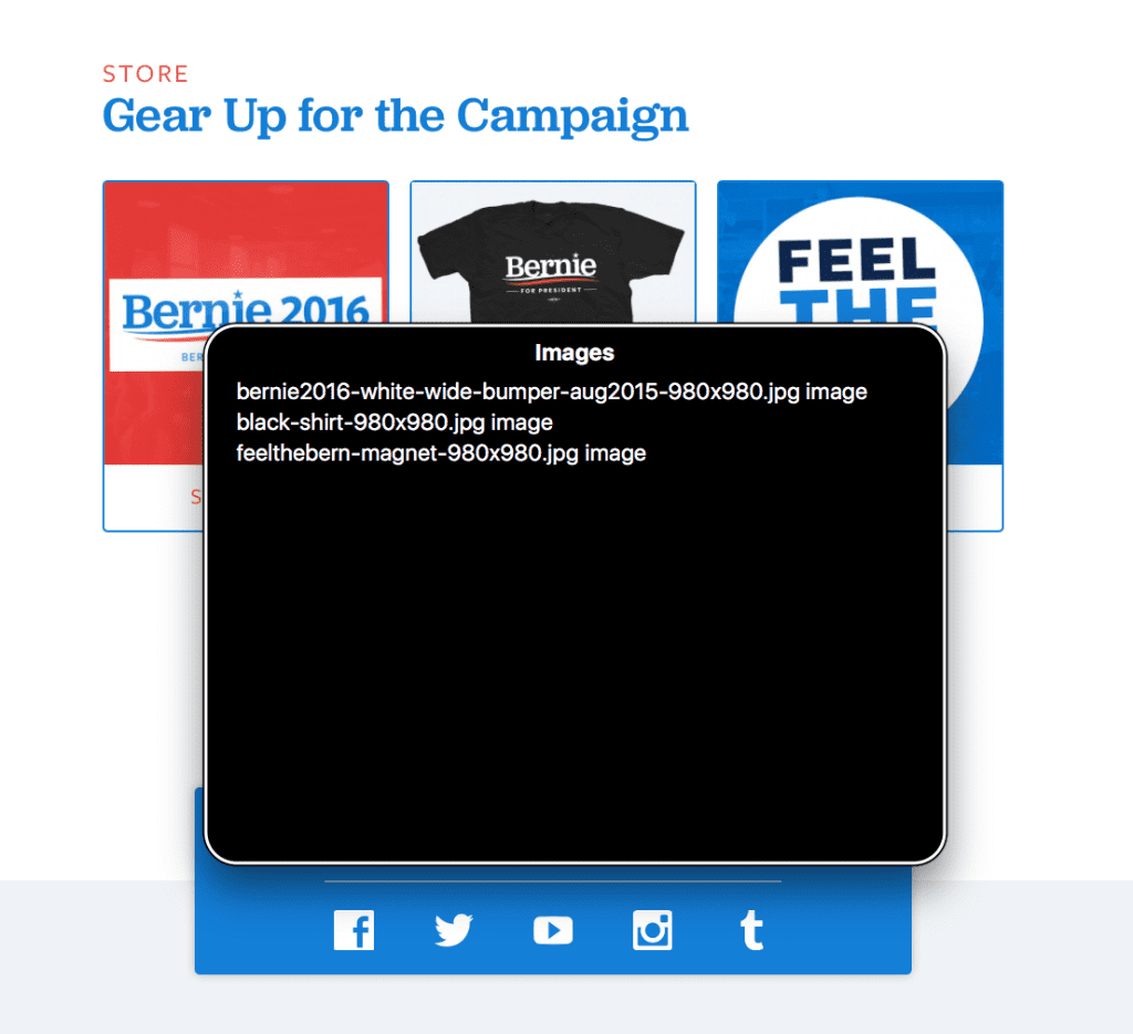 Screenshot of Sanders' homepage