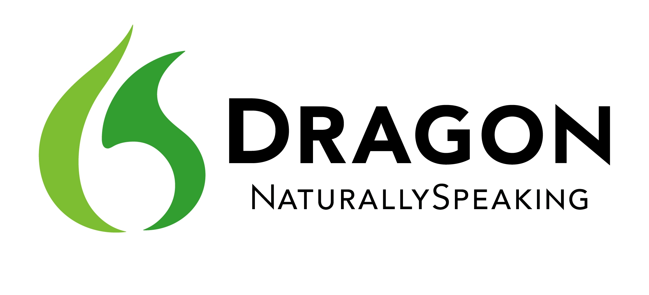 what comes with dragon naturally speaking software