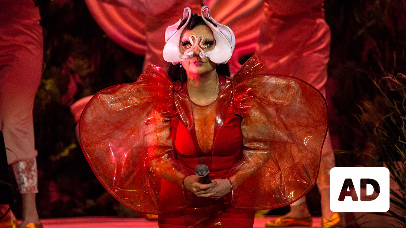 Björk performing onstage at Háskólabio, April 12, 2018. She wears a mask that resembles an orchid flower, and a blooming red dress that looks as if it contains blood vessels. Photo from Emma Birkett (OLI Management).