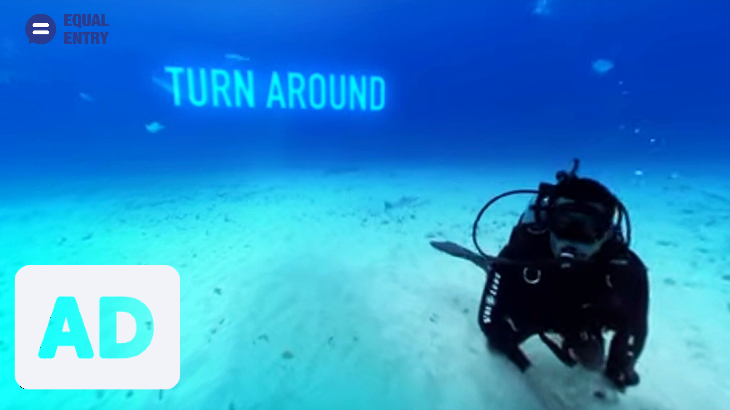 Whenever a shark is behind you, onscreen text says, “Turn around.” How would a Blind person know to do this?