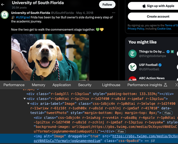 X page showing alt="Image" for image of dog wearing a USF graduation gown